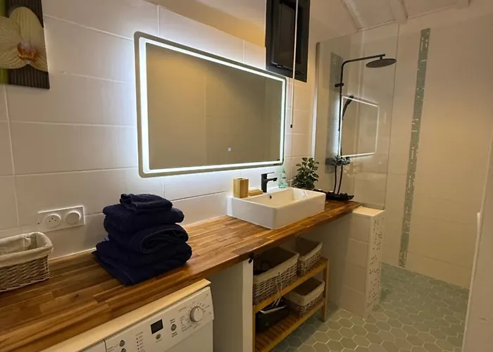 Thefrenchmill Saint-Vivien-de-Monségur